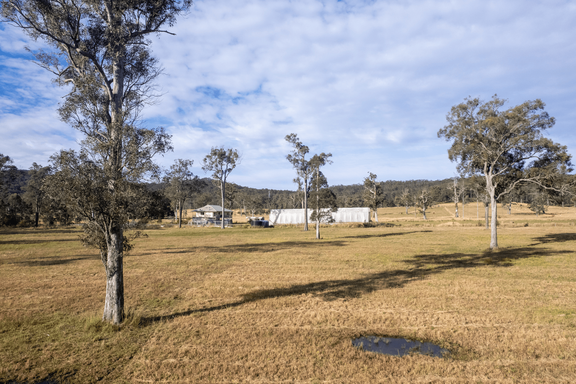 834 Dicksons Road, Dooralong, NSW 2259