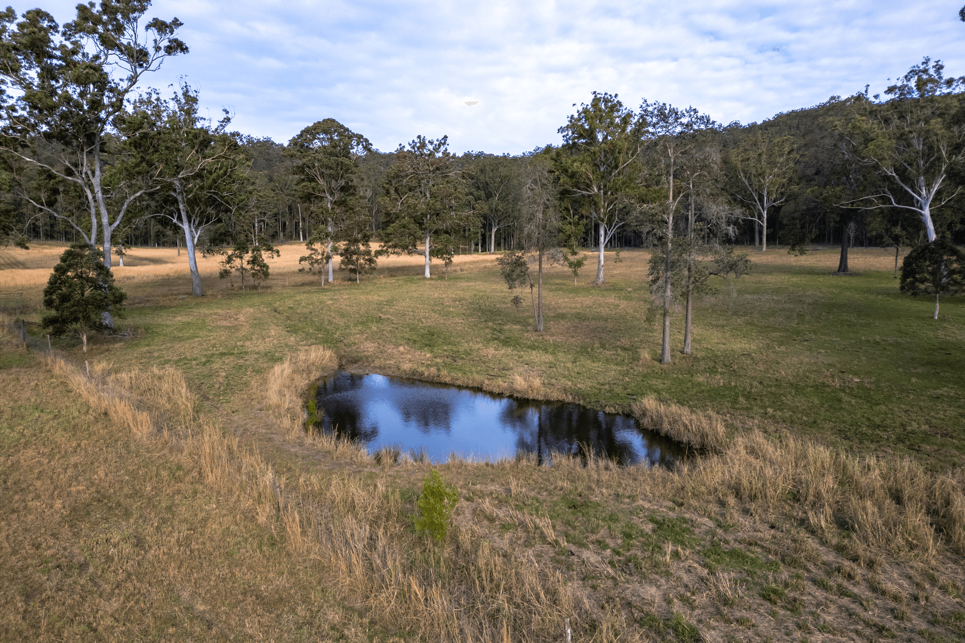 834 Dicksons Road, Dooralong, NSW 2259