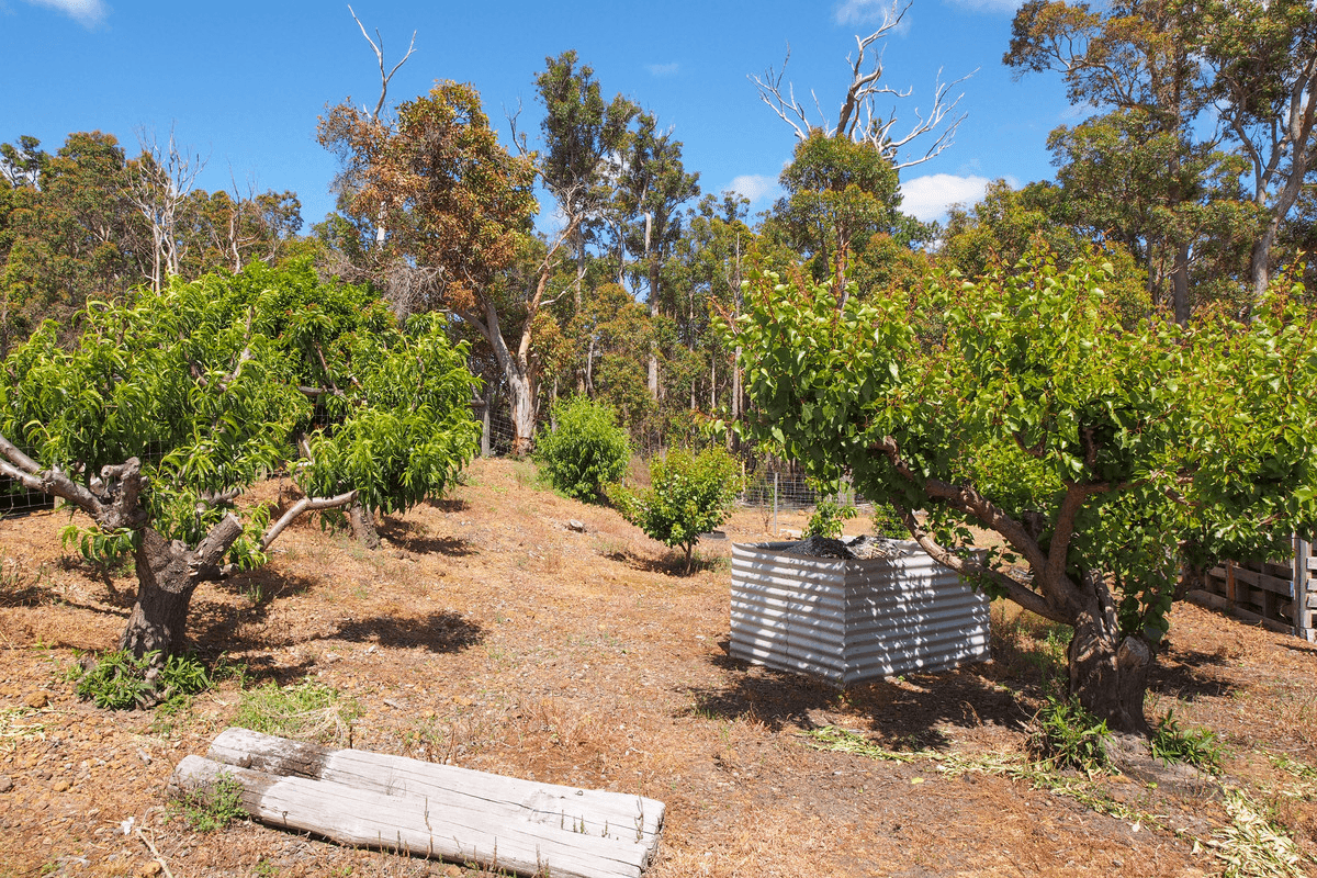 62 Rinns Road, Nannup, WA 6275