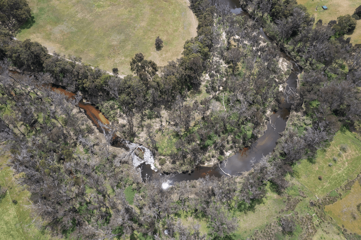 62 Rinns Road, Nannup, WA 6275