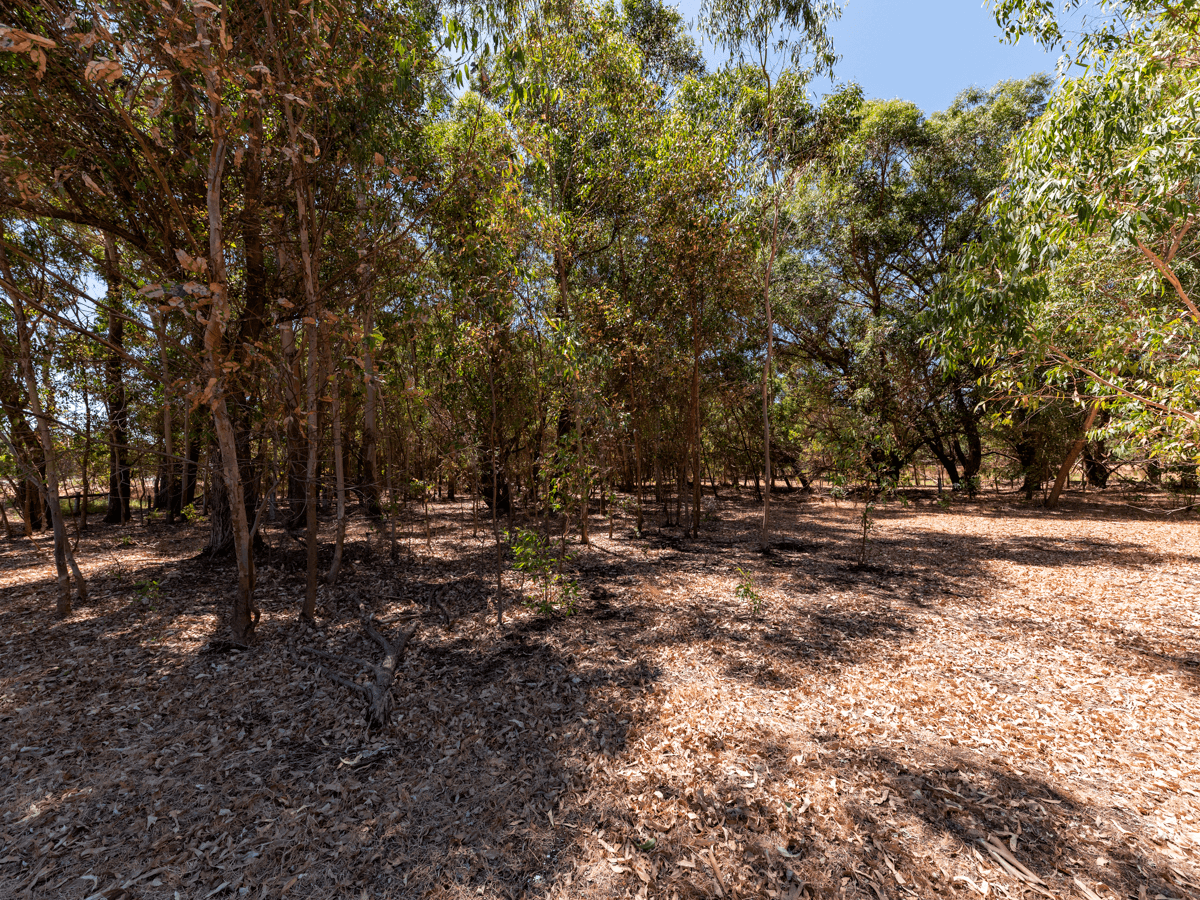 LOT 235 Strachan Road, Bullsbrook, WA 6084