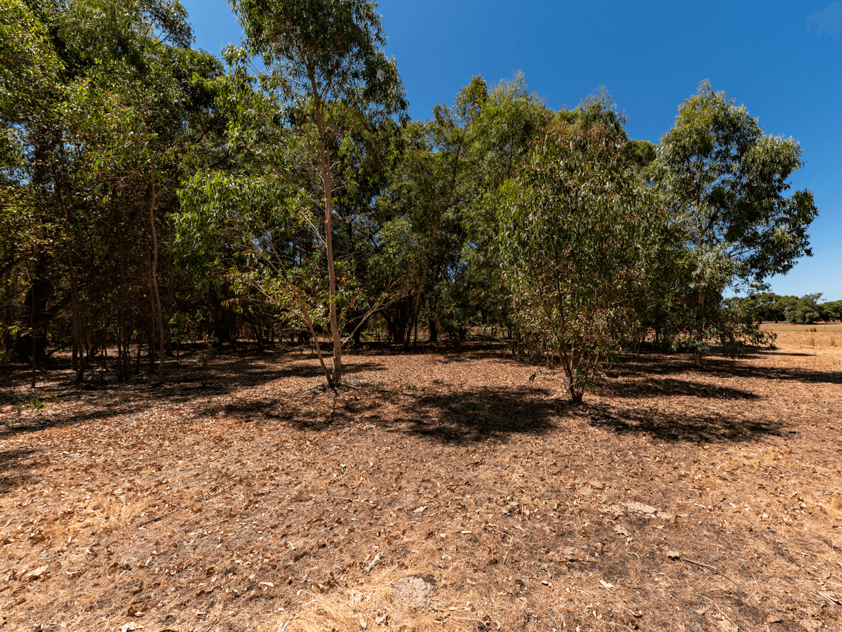 LOT 235 Strachan Road, Bullsbrook, WA 6084