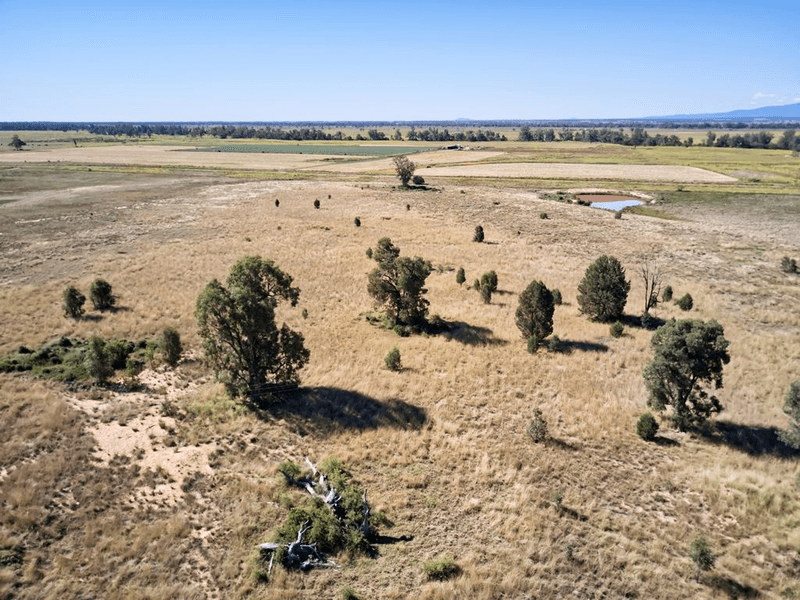 72 Culgoora Road, Narrabri, NSW 2390