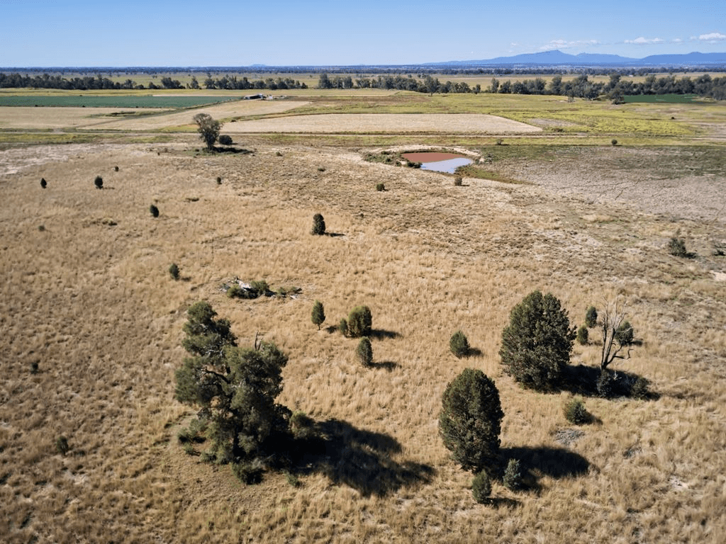 72 Culgoora Road, Narrabri, NSW 2390