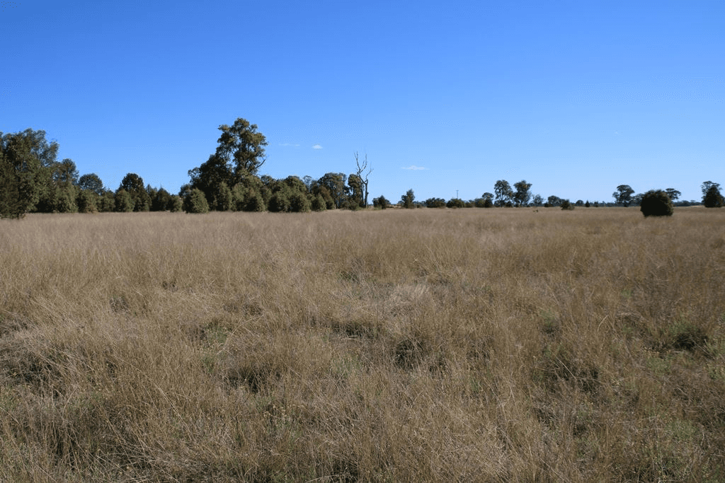 72 Culgoora Road, Narrabri, NSW 2390