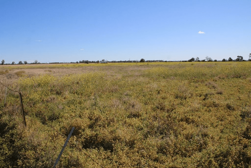 72 Culgoora Road, Narrabri, NSW 2390