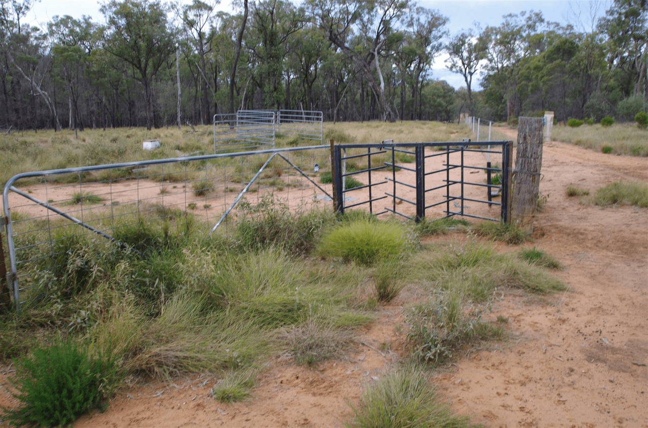 709 Tuppiari Road, Narrabri, NSW 2390