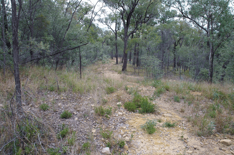 709 Tuppiari Road, Narrabri, NSW 2390