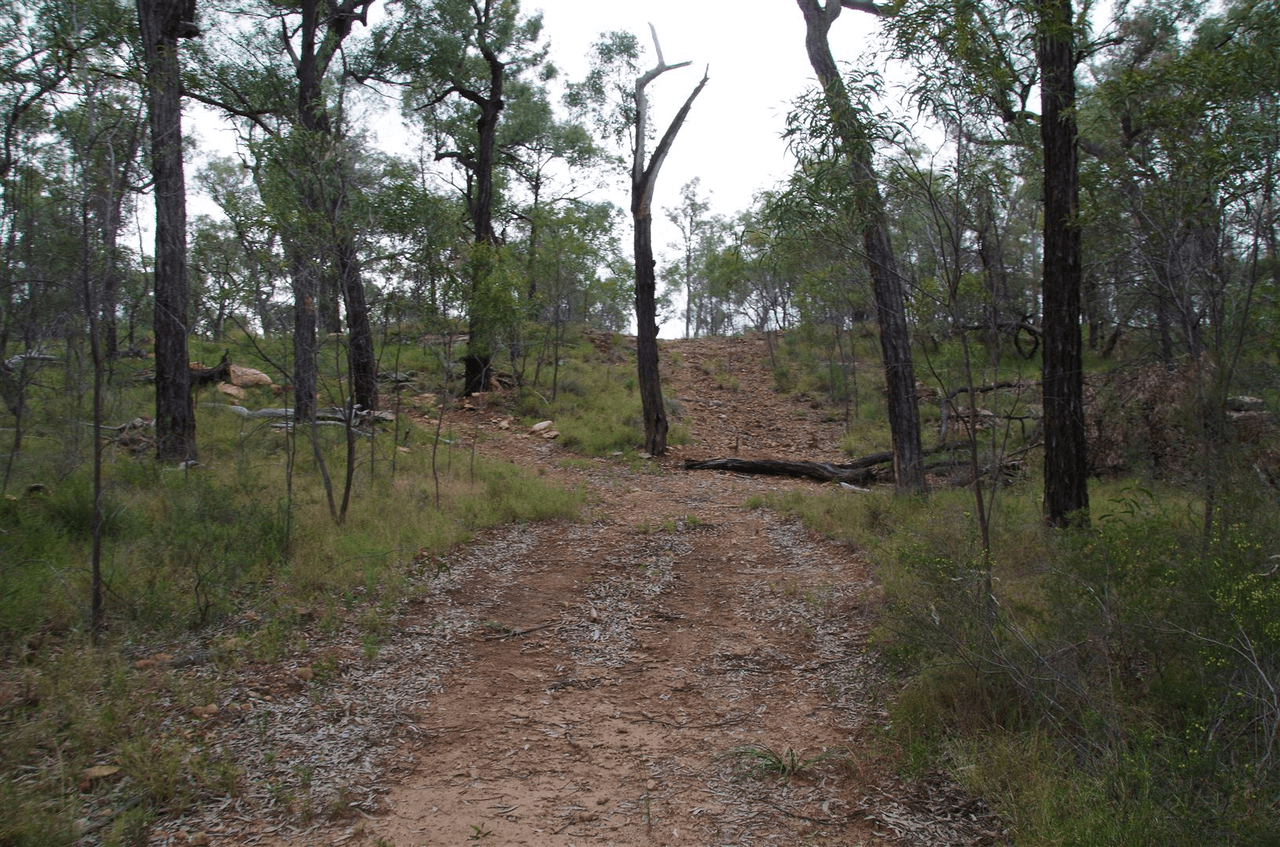 709 Tuppiari Road, Narrabri, NSW 2390