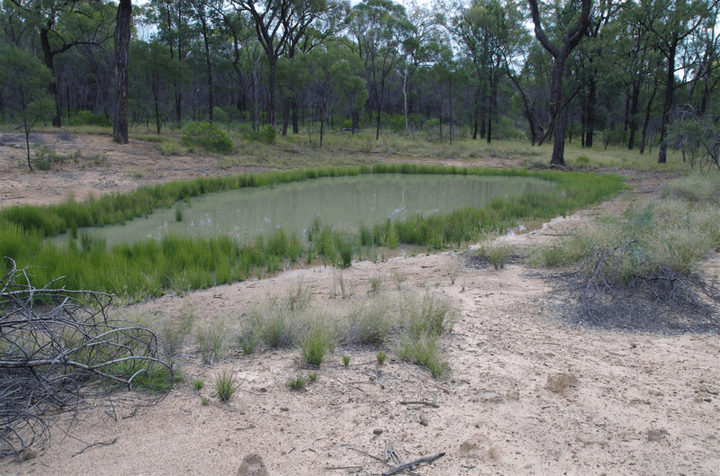 709 Tuppiari Road, Narrabri, NSW 2390