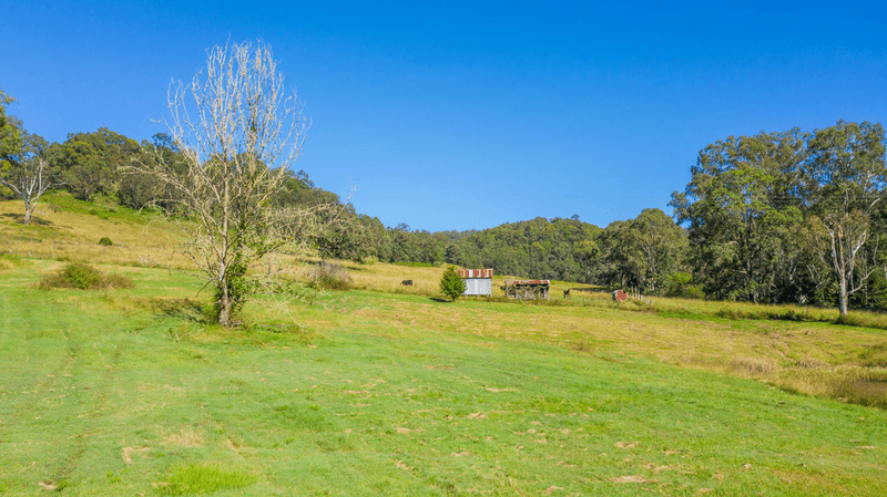 937 Duck Creek Road, OLD BONALBO, NSW 2469