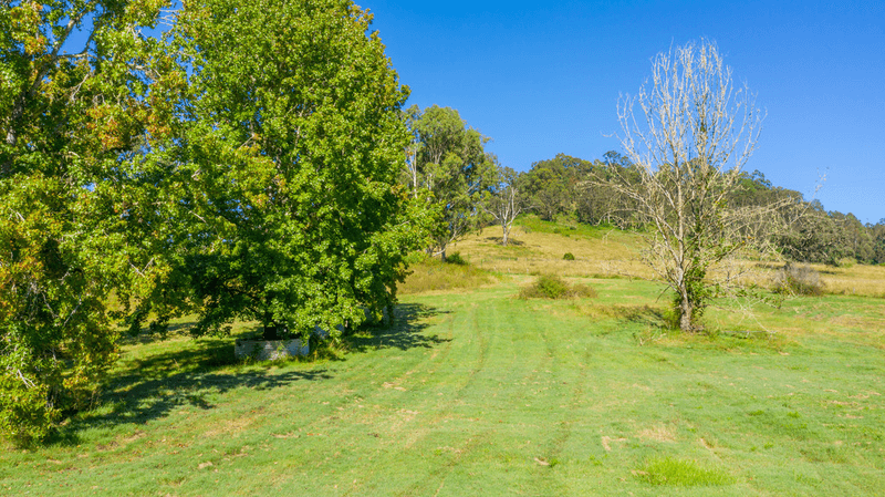 937 Duck Creek Road, OLD BONALBO, NSW 2469