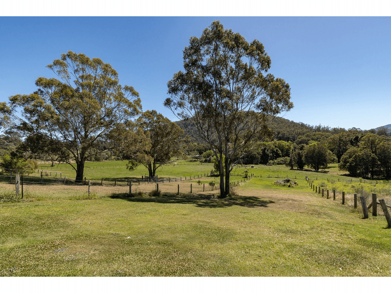 3729-3731 The Bucketts Way, KRAMBACH, NSW 2429