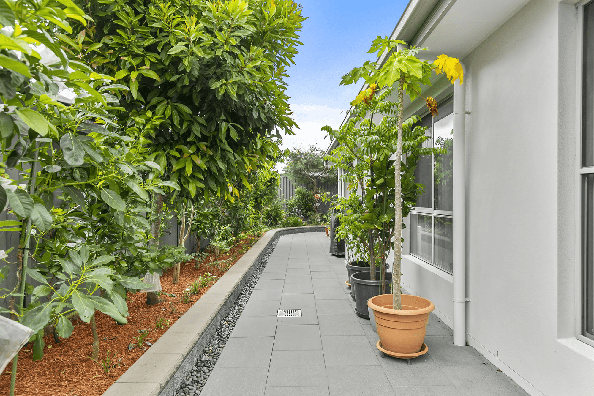 32 Callisia Crescent, BANKSIA BEACH, QLD 4507