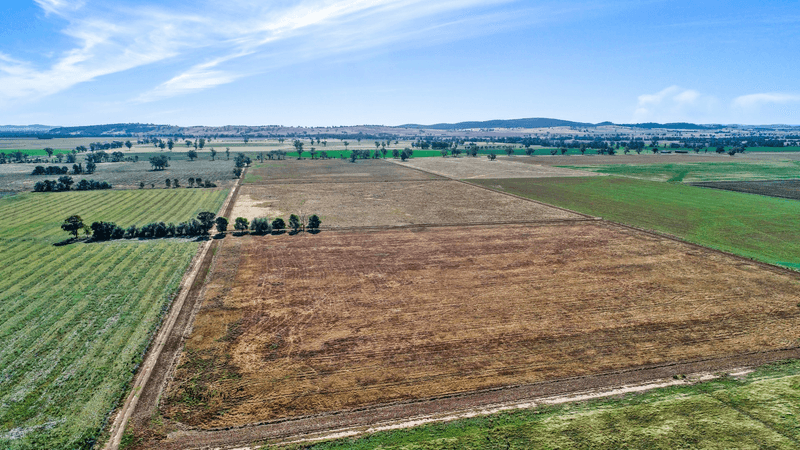 284 Settlement Bridge Road, Canowindra, NSW 2804