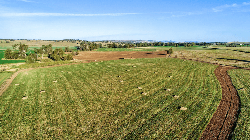 284 Settlement Bridge Road, Canowindra, NSW 2804