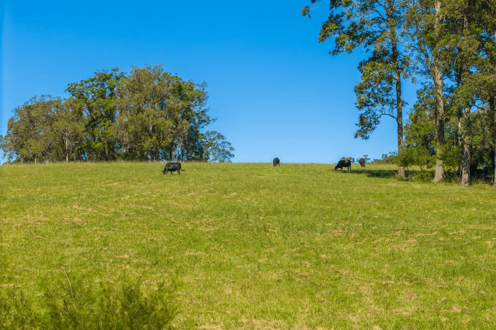 523 MORTONS CREEK ROAD, MORTONS CREEK, NSW 2446