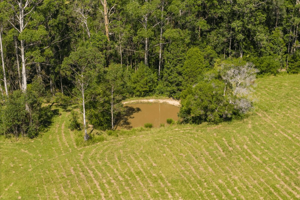 523 MORTONS CREEK ROAD, MORTONS CREEK, NSW 2446