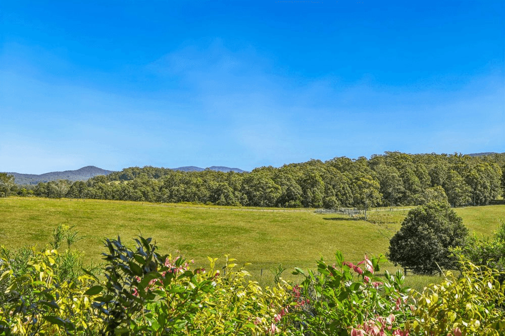 523 MORTONS CREEK ROAD, MORTONS CREEK, NSW 2446