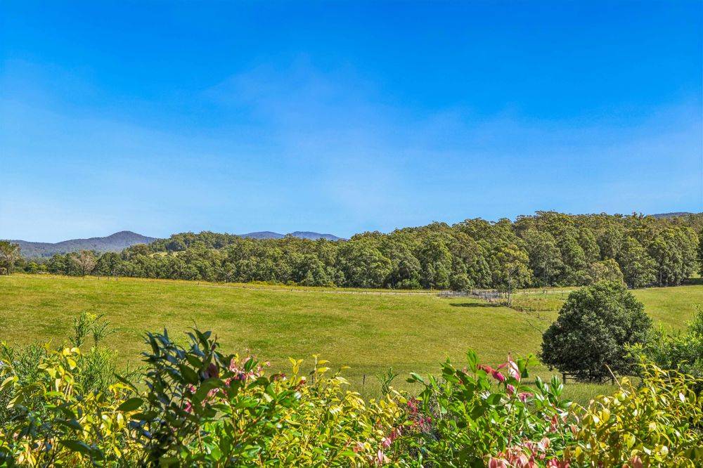 523 MORTONS CREEK ROAD, MORTONS CREEK, NSW 2446