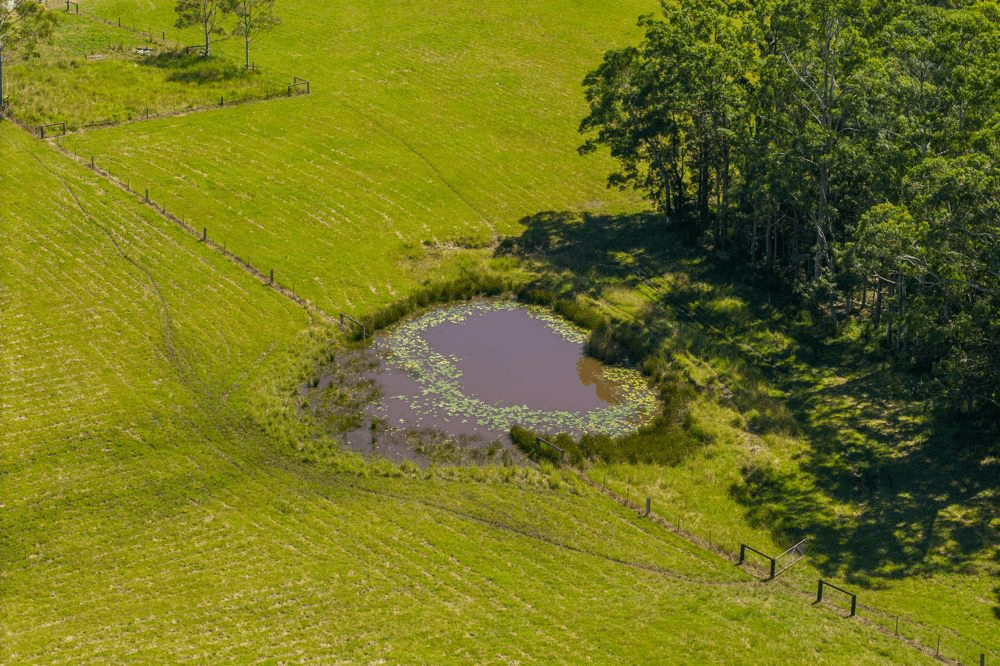 523 MORTONS CREEK ROAD, MORTONS CREEK, NSW 2446