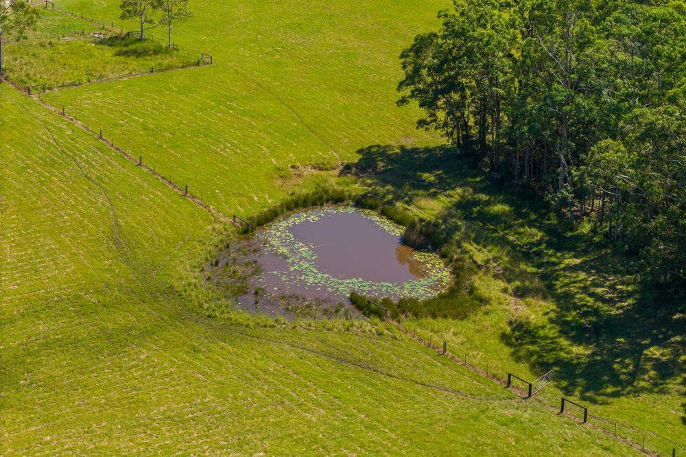 523 MORTONS CREEK ROAD, MORTONS CREEK, NSW 2446