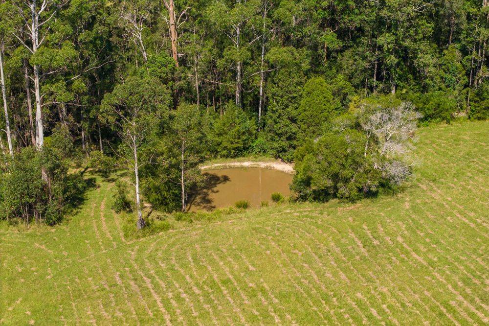 523 MORTONS CREEK ROAD, MORTONS CREEK, NSW 2446