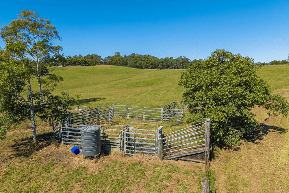 523 MORTONS CREEK ROAD, MORTONS CREEK, NSW 2446