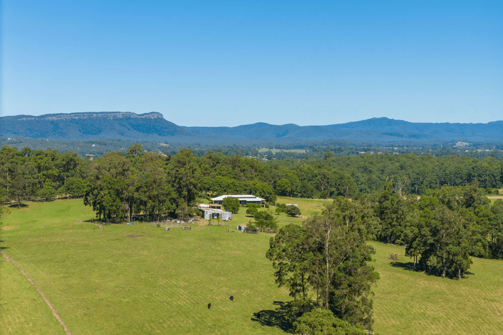 523 MORTONS CREEK ROAD, MORTONS CREEK, NSW 2446