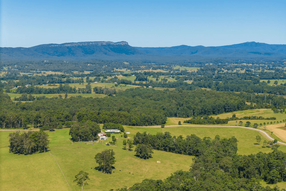 523 MORTONS CREEK ROAD, MORTONS CREEK, NSW 2446
