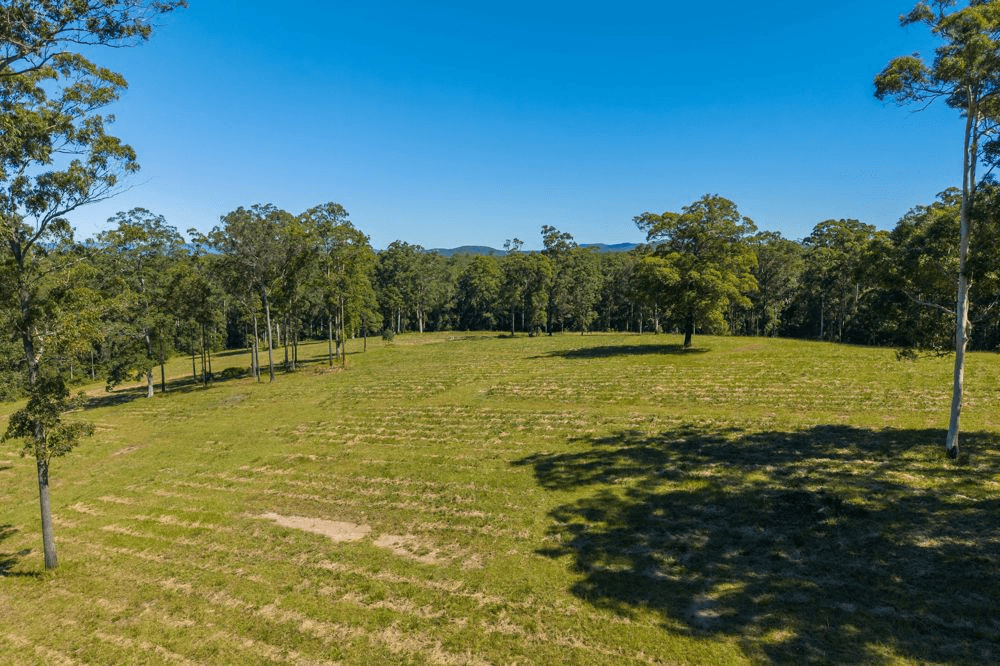 523 MORTONS CREEK ROAD, MORTONS CREEK, NSW 2446