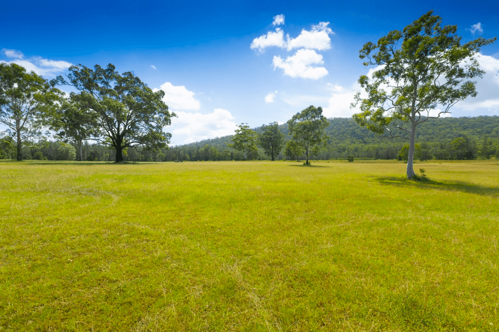 223 Shallow Bay Road, Wallingat, NSW 2428