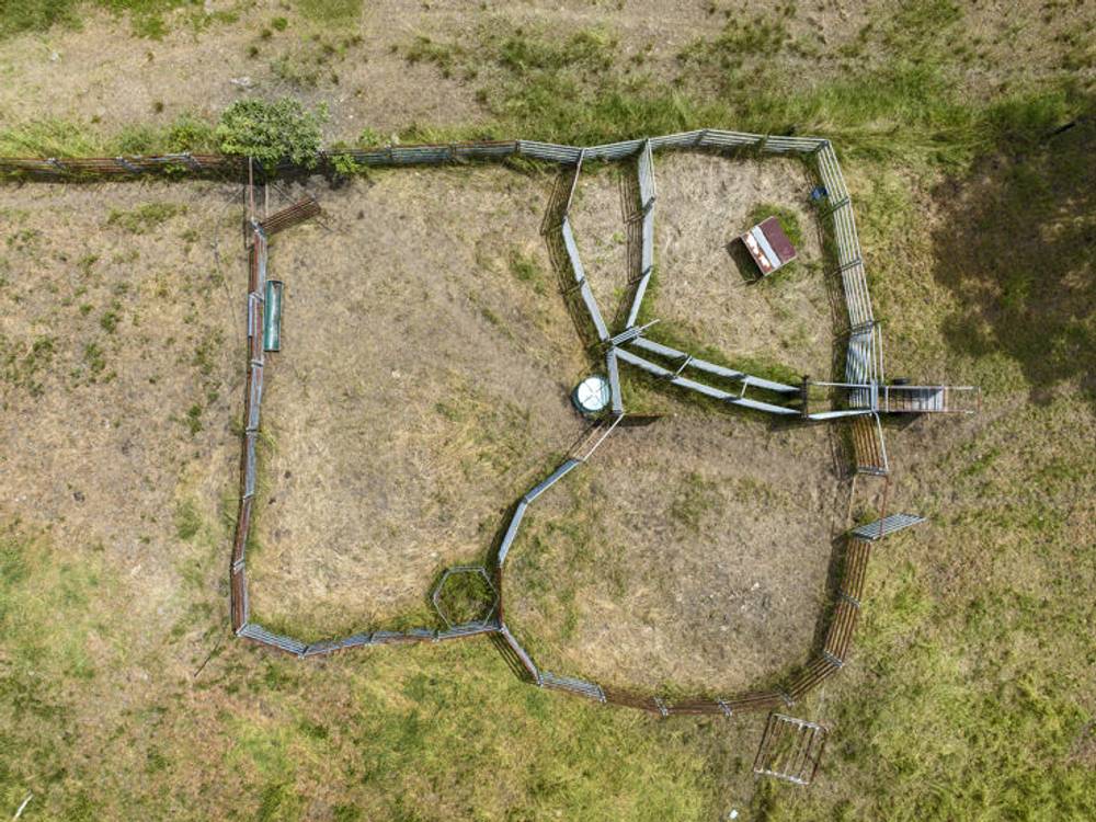 346 Pinnacle Road, PUMPENBIL, NSW 2484