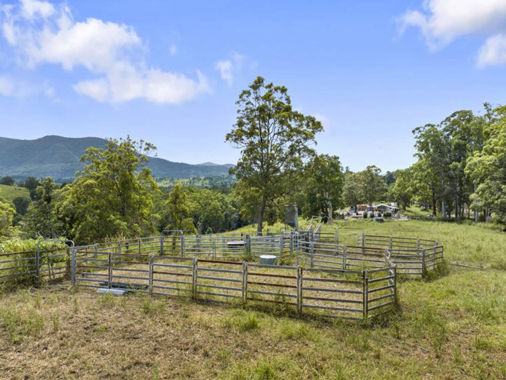 346 Pinnacle Road, PUMPENBIL, NSW 2484