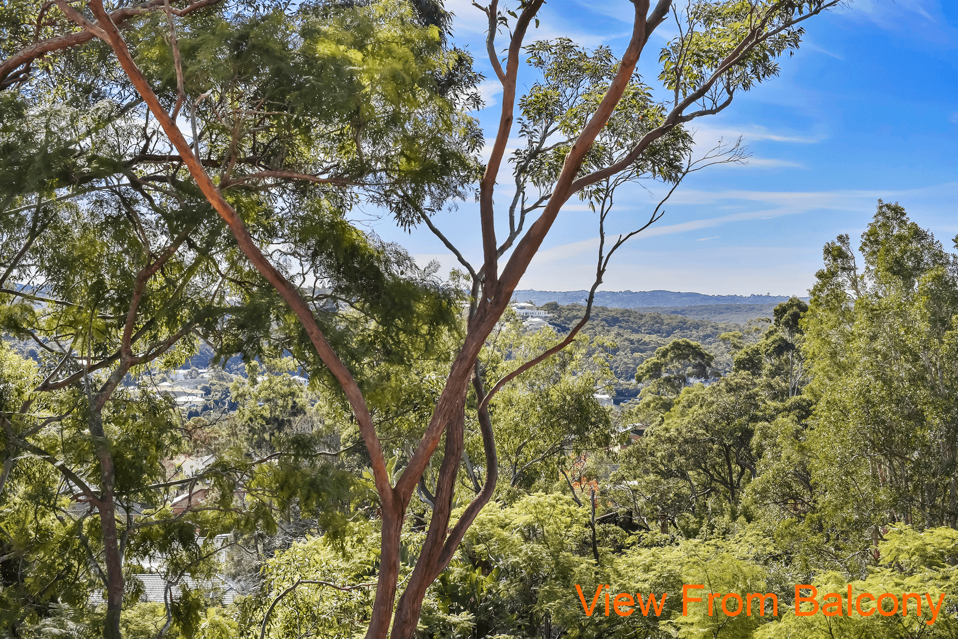 33 Bluegum Crescent, Frenchs Forest, NSW 2086