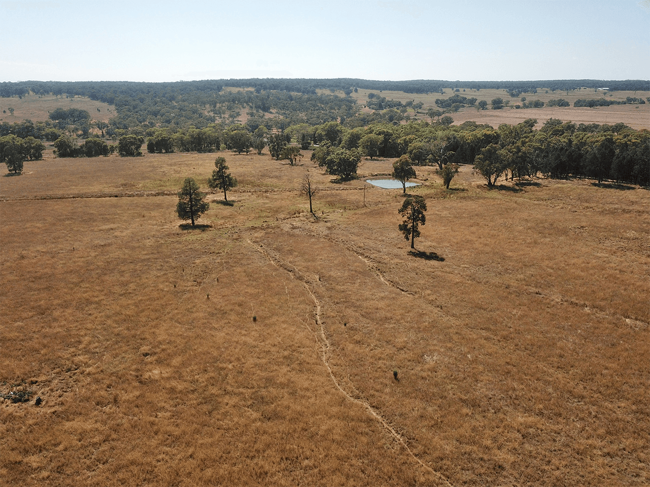 15948 OXLEY Highway, COONABARABRAN, NSW 2357