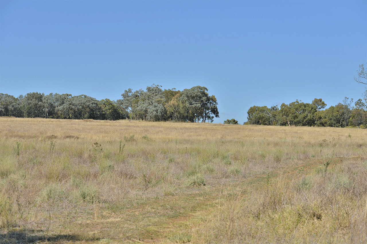 15948 OXLEY Highway, COONABARABRAN, NSW 2357