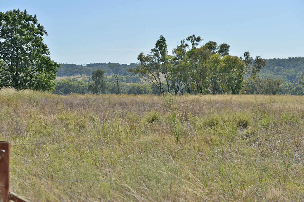 15948 OXLEY Highway, COONABARABRAN, NSW 2357