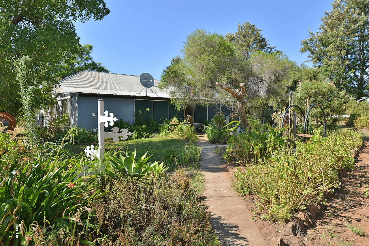 15948 OXLEY Highway, COONABARABRAN, NSW 2357