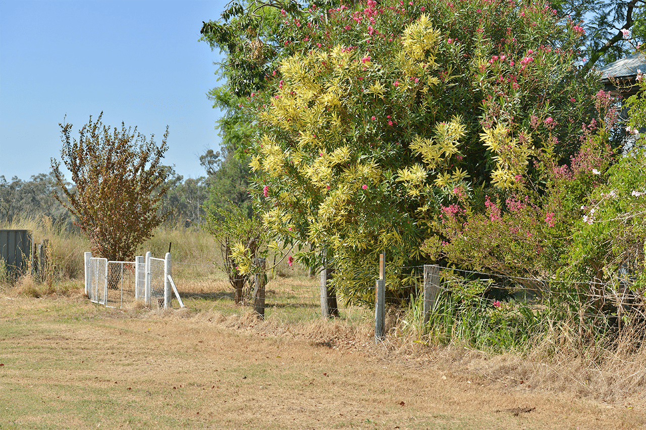 15948 OXLEY Highway, COONABARABRAN, NSW 2357