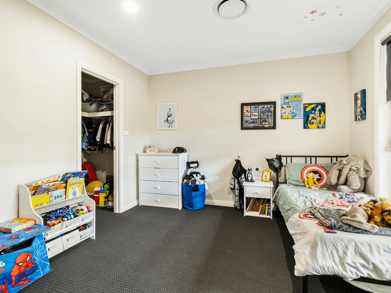 19 Janette Place, OAKDALE, NSW 2570