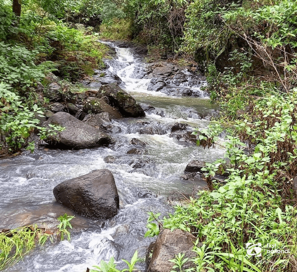 792 Hopkins Creek Road, Hopkins Creek, NSW 2484