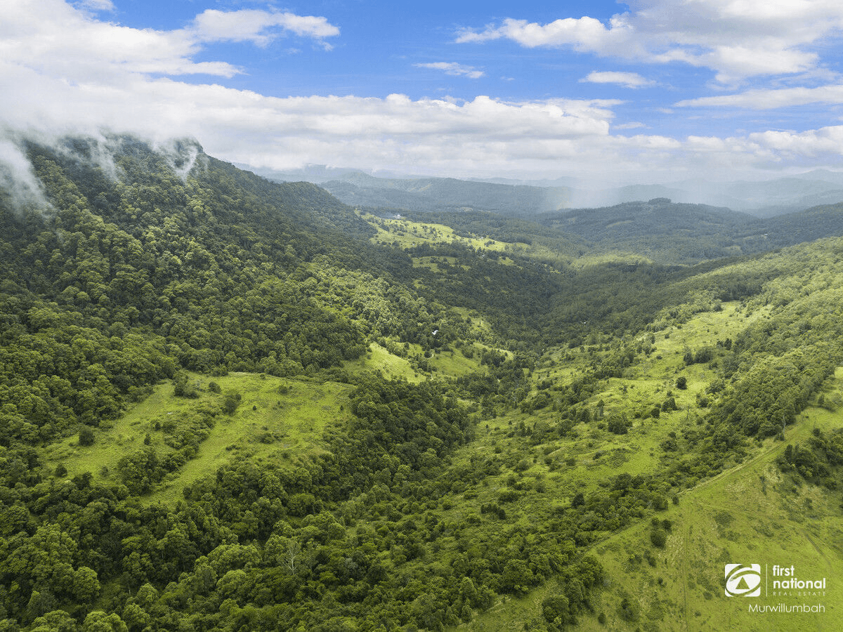 792 Hopkins Creek Road, Hopkins Creek, NSW 2484