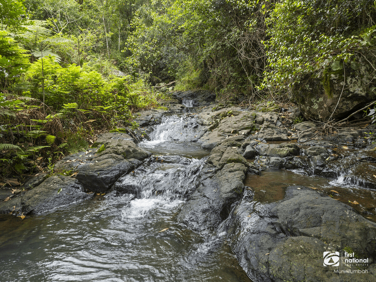 792 Hopkins Creek Road, Hopkins Creek, NSW 2484