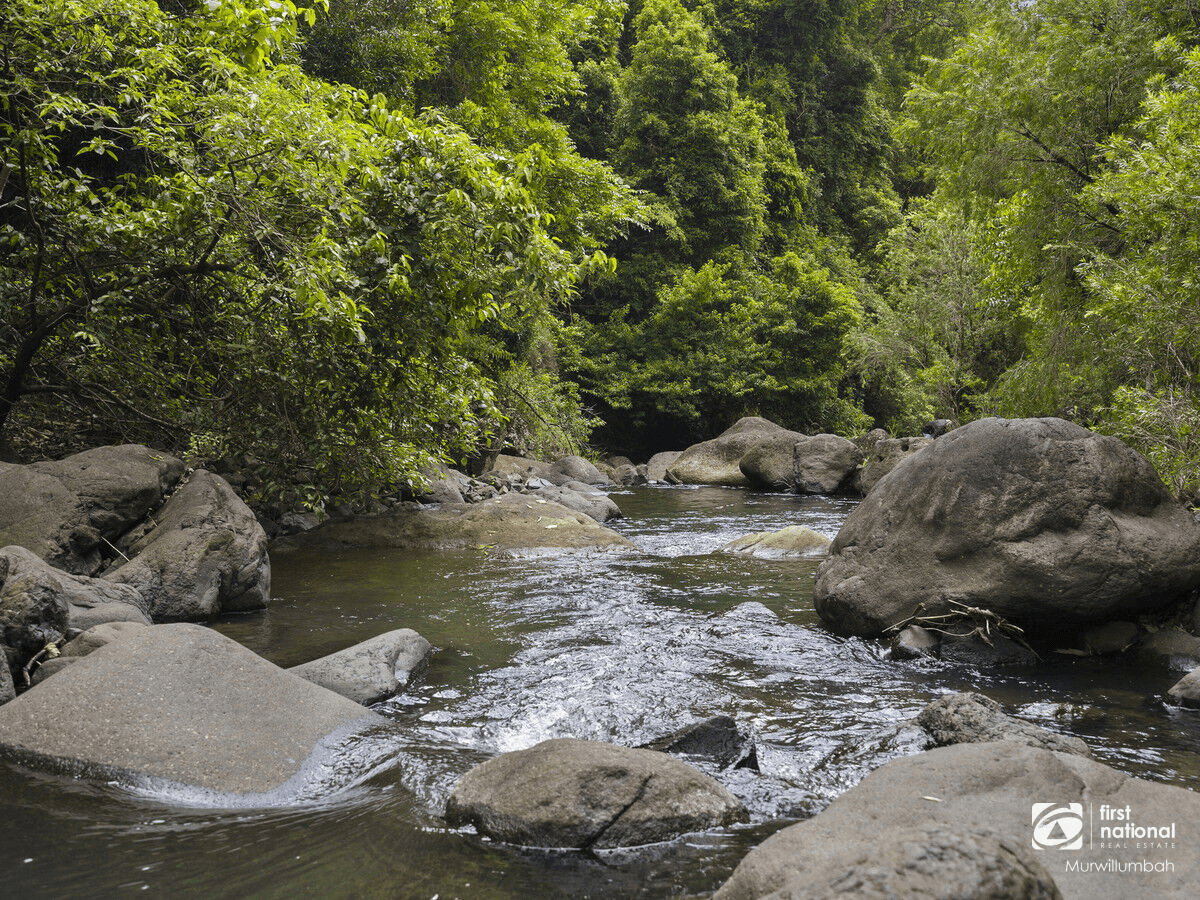 792 Hopkins Creek Road, Hopkins Creek, NSW 2484