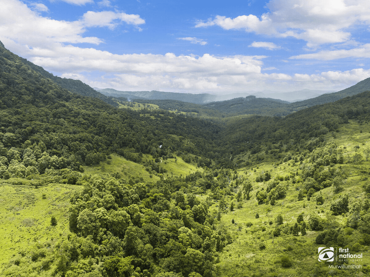 792 Hopkins Creek Road, Hopkins Creek, NSW 2484