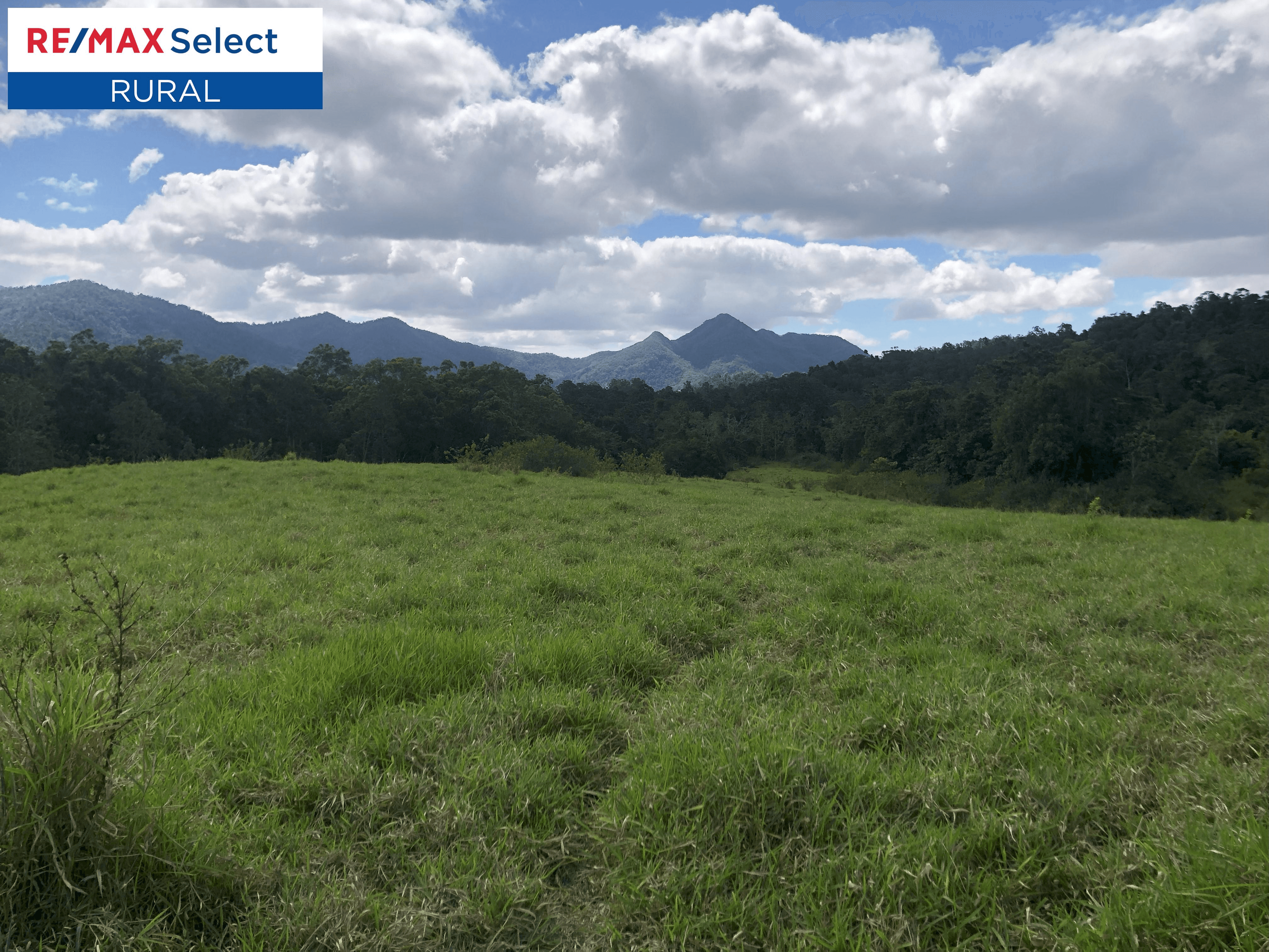 1332 Calen Mount Charlton Road, MOUNT CHARLTON, QLD 4741