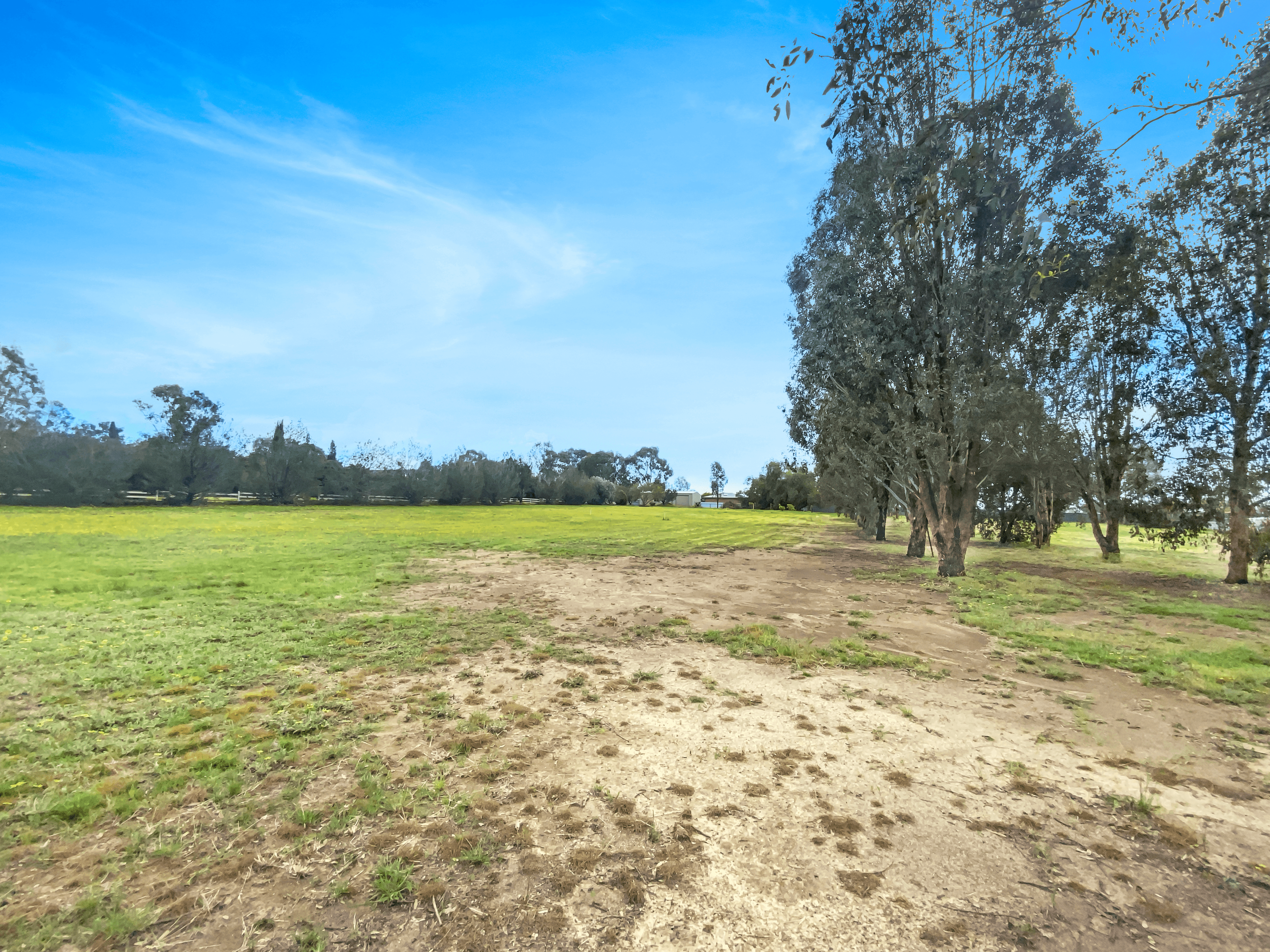 Prince Place, Lake Albert, NSW 2650