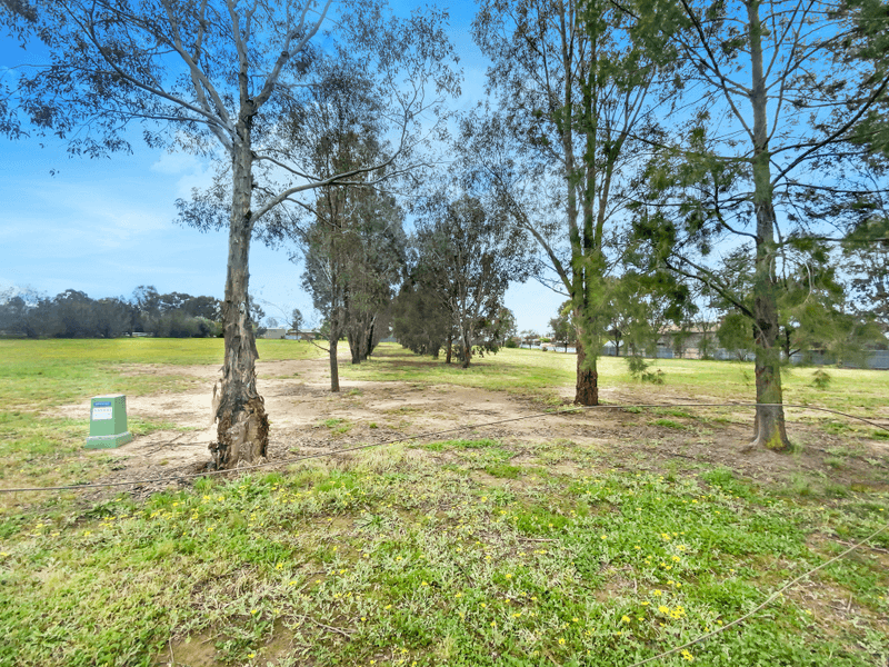 Prince Place, Lake Albert, NSW 2650