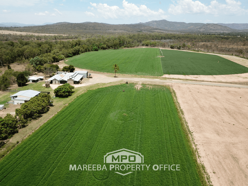 81 Davenport Road, DIMBULAH, QLD 4872